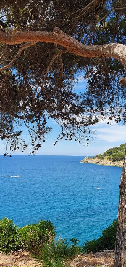 A Ca Me Bed & Breakfast Bonassola Bagian luar foto